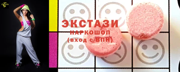 шишки Лабытнанги