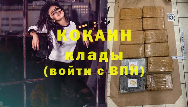 мяу мяу мука Абаза