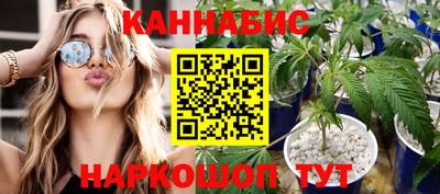 стафф Новозыбков