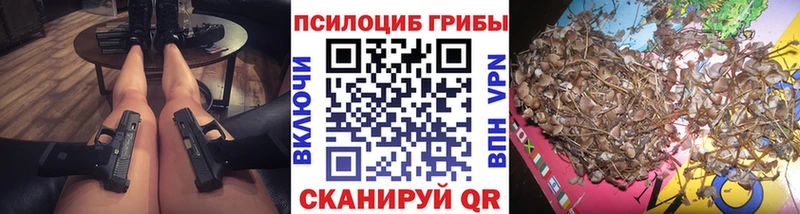 кракен зеркало Новочебоксарск Псилоцибиновые грибы мухоморы