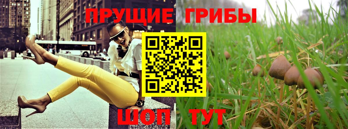 Галлюциногенные грибы мицелий  Вход с VPN  Новочебоксарск  Псилоцибиновые грибы GOLDEN TEACHER 